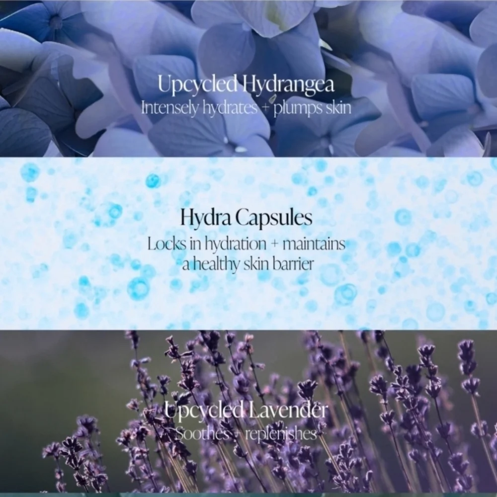 BYROE Hydrangea Tea Intensive Hydration‎ Serum - Vegan & Clean